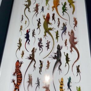 Christopher Marley Lizard Print “Hoedown” Print framed this is an original print